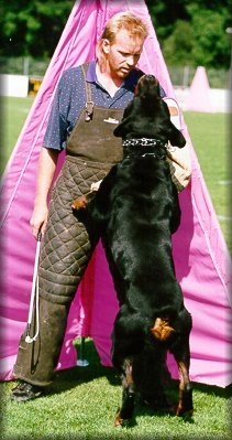 Jenecks Wotan, rottweiler