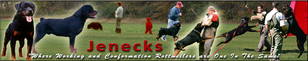 Jeneck's Rottweilers, Where working and conformation Rottweilers are on in the same.